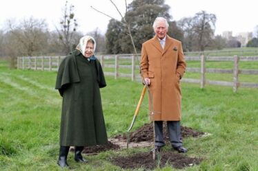 Le prince Charles plante des jeunes arbres pour marquer le jubilé de platine de la reine sous les yeux de Sa Majesté