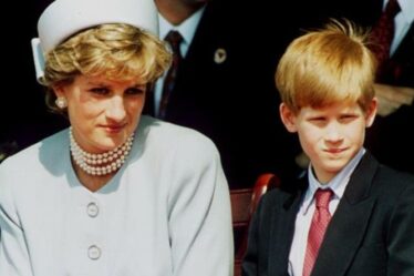 Le prince Harry dit que les fans de Diana ont agi comme `` ils la connaissaient mieux '' que lui