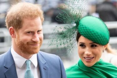 Le prince Harry et Meghan Markle sont `` déterminés à saper l'avenir de la monarchie '' -