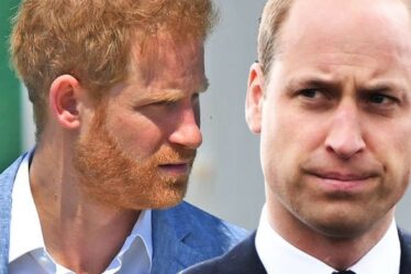 Le prince William `` jaloux '' est `` irrité '' par le prince Harry mais doit éviter son `` chemin dangereux ''