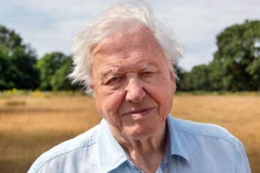 Le rôle clé de Sir David Attenborough pour sauver le monde