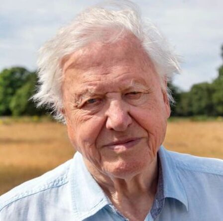 Le rôle clé de Sir David Attenborough pour sauver le monde