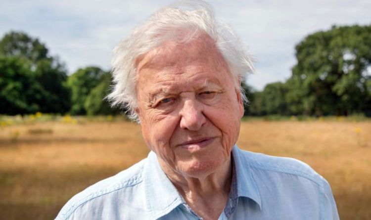 Le rôle clé de Sir David Attenborough pour sauver le monde