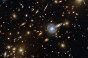 Le télescope Hubble de la NASA repère un réseau scintillant de galaxies