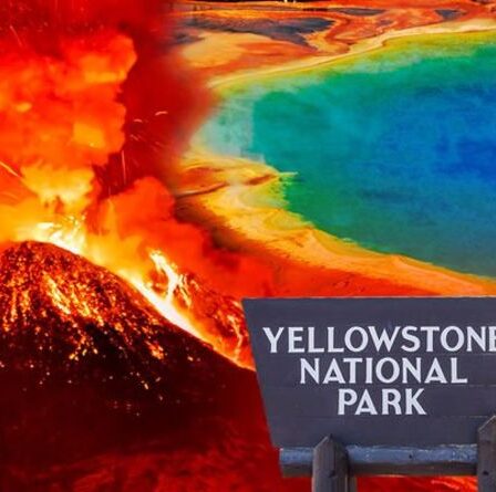 L'éruption du volcan Yellowstone laisserait un `` grand trou '' aux États-Unis - un expert décrit un cataclysme