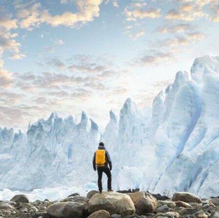 Les Britanniques sont plus préoccupés par la protection de la planète après la pandémie, selon une étude