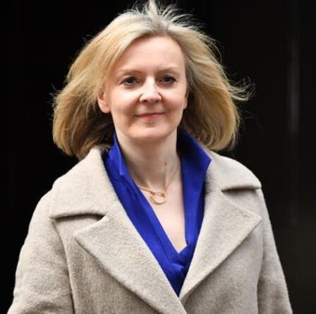 Les conservateurs se sont séparés alors que l'accord commercial australien `` menace les agriculteurs britanniques ''