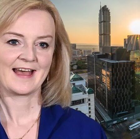 «Les étoiles se sont alignées!  La manne commerciale du Brexit de 8 milliards de livres sterling se profile alors que le Royaume-Uni se tourne vers l'Afrique du Sud