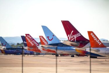 Les patrons des compagnies aériennes exigent une extension de la liste verte - `` ne peuvent pas passer un autre été ruiné ''