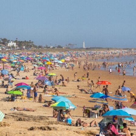 Les vacances d'été reviennent!  L'UE obtient Covid passe un accord pour ouvrir un bloc aux touristes