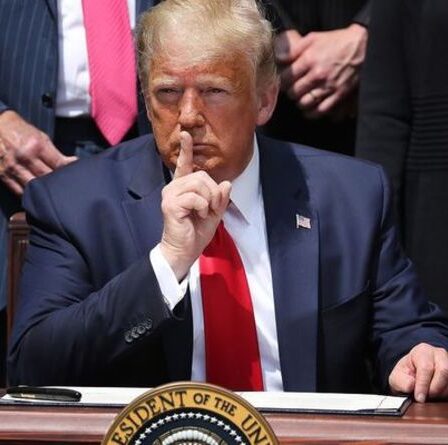 L'humiliation de Donald Trump alors que le blog de `` spam '' ne fonctionne pas bien suggère des données - `` Primitive ''