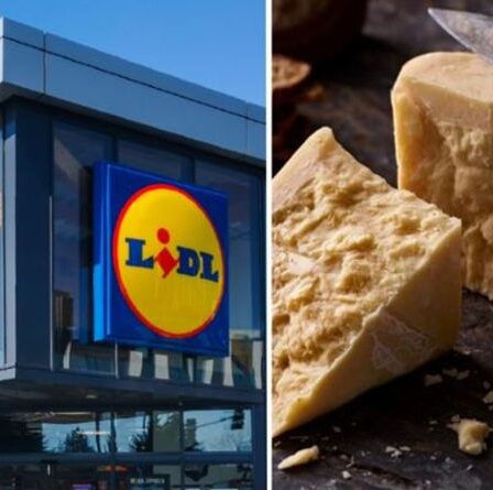 Lidl s'apprête à devenir le premier supermarché britannique à vendre du fromage neutre en carbone