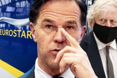 Ligne Eurostar: les Pays-Bas et la Belgique pourraient intervenir dans le naissain - le Royaume-Uni pourrait devoir tousser
