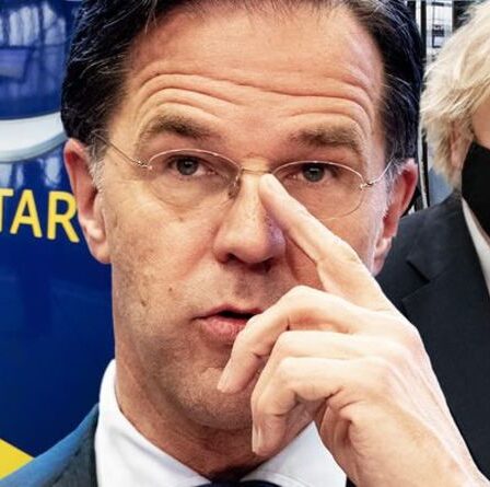 Ligne Eurostar: les Pays-Bas et la Belgique pourraient intervenir dans le naissain - le Royaume-Uni pourrait devoir tousser