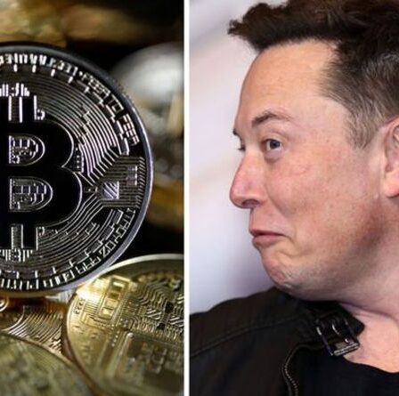 L'interdiction du Bitcoin Tesla d'Elon Musk pourrait endommager de manière permanente la valeur de la crypto-monnaie