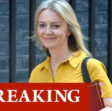 Liz Truss célèbre un accord commercial exceptionnel avec l'Australie réduisant les formalités administratives de 115 millions de livres sterling pour les entreprises britanniques