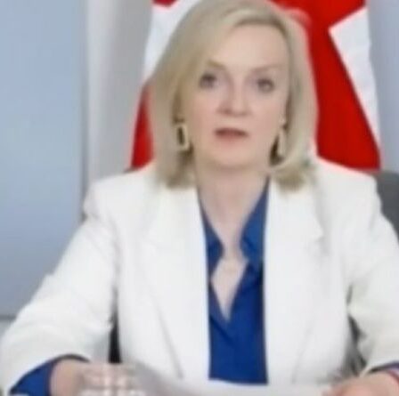 Liz Truss exige que les dirigeants du G7 se durcissent dans la guerre commerciale avec la Chine «trop molle depuis trop longtemps!