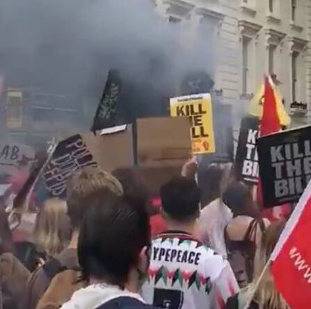 Manifestation contre le projet de loi: des centaines de personnes défilent à Londres et à travers le Royaume-Uni - «Nos rues!