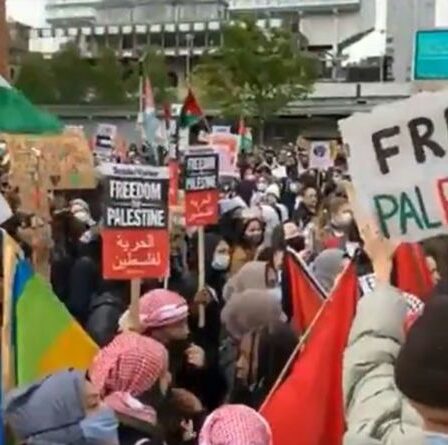 Marks & Spencer a surnommé `` l'ambassade d'Israël dans la grande rue britannique '' lors d'un rassemblement à Manchester