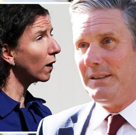 Même vieux travail!  Starmer confie à l'ancien député européen resté le rôle de renouer avec les électeurs du Brexit