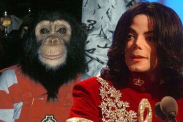 Michael Jackson pet: Où est Bubbles le chimpanzé maintenant?