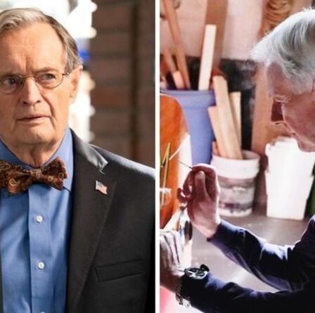 NCIS 2021: Ducky était derrière l'évasion finale de Gibbs dans une nouvelle théorie explosive des fans