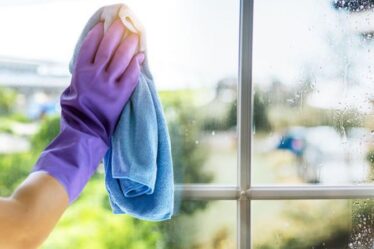 Nettoyage de vitres: les fans de Mme Hinch peuvent facilement éliminer les taches en 10 minutes - `` fonctionne un régal ''