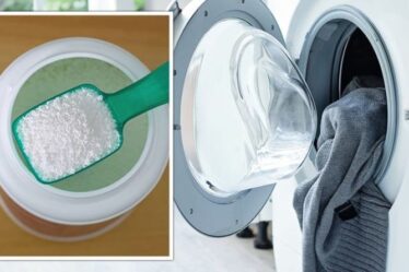 Nettoyage: les fans de Mme Hinch partagent des cristaux de soude pour empêcher les machines à laver de sentir mauvais