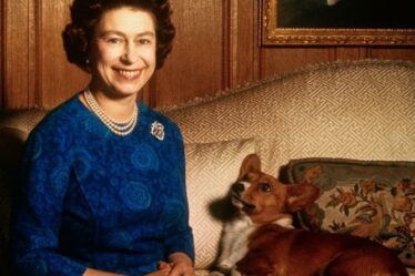 Noms d'animaux de compagnie de la reine: Tous les noms de corgi de la reine Elizabeth II au fil des ans