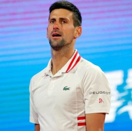 Novak Djokovic nomme six stars qui se remplaceront, Rafael Nadal et Roger Federer