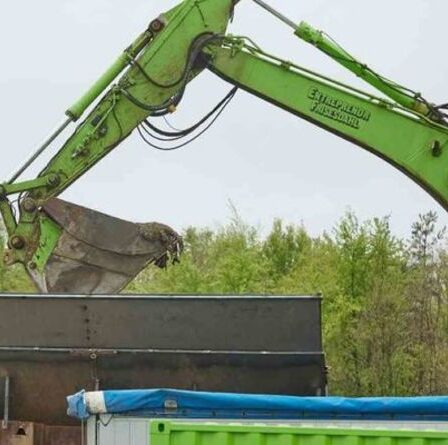 Opération d'urgence dégoûtante alors que le Danemark incinère les visons abattus après les craintes de virus