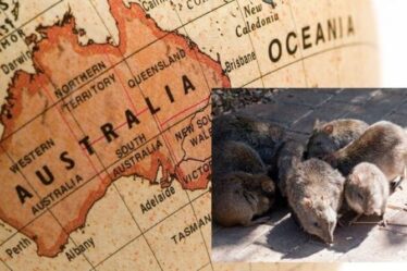 Peste de la souris en Australie: où se trouve la peste de la souris en Australie?