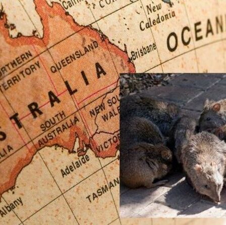 Peste de la souris en Australie: où se trouve la peste de la souris en Australie?