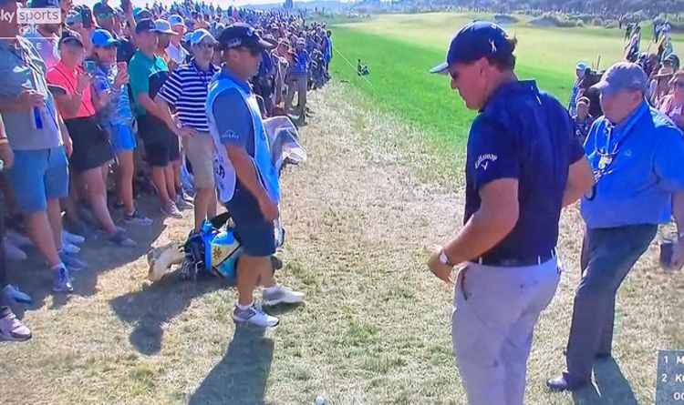 Phil Mickelson se heurte à un fan du championnat de la PGA qui a ramassé sa balle dans une inciden bizarre