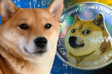 Pièce de monnaie Shiba Inu: un analyste avertit que le nouveau jeton Doge n'a `` aucun but réel '' - ne battra pas Dogecoin