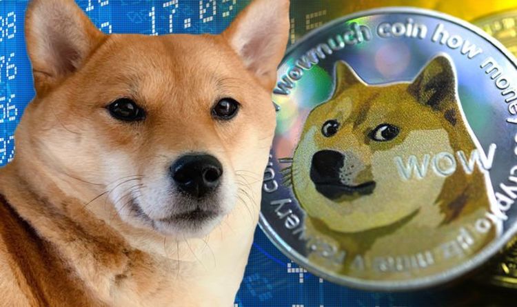 Pièce de monnaie Shiba Inu: un analyste avertit que le nouveau jeton Doge n'a `` aucun but réel '' - ne battra pas Dogecoin