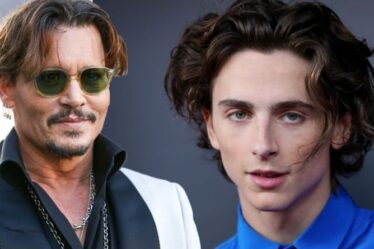 Pirates des Caraïbes: Timothée Chalamet pourrait revendiquer un rôle de jeune Johnny Depp
