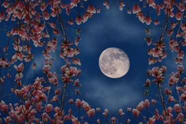 Pleine lune de mai 2021: Quand la lune des fleurs atteindra-t-elle son apogée?