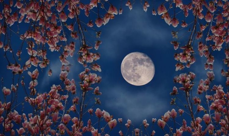Pleine lune de mai 2021: Quand la lune des fleurs atteindra-t-elle son apogée?