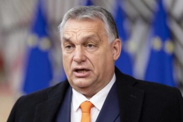 Pourquoi Orban vient-il à Londres?  Boris soutient le `` déroulement du tapis rouge '' pour les nations de Visegrad