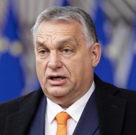 Pourquoi Orban vient-il à Londres? Boris soutient le `` déroulement du tapis rouge '' pour les nations de Visegrad