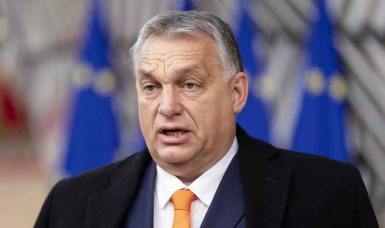 Pourquoi Orban vient-il à Londres?  Boris soutient le `` déroulement du tapis rouge '' pour les nations de Visegrad