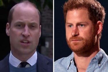 Prince Harry contre William: leurs différentes approches pour défendre la princesse Diana comparées