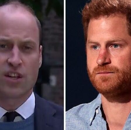 Prince Harry contre William: leurs différentes approches pour défendre la princesse Diana comparées