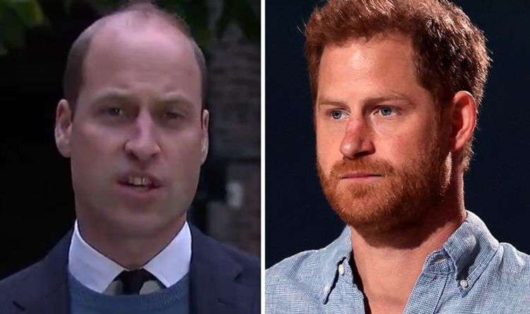 Prince Harry contre William: leurs différentes approches pour défendre la princesse Diana comparées