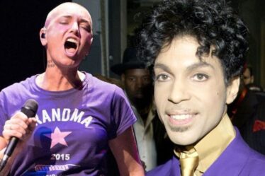 Prince a-t-il vraiment écrit Sinead O'Connor Nothing Compares 2 U?