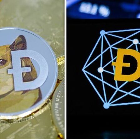 Prix ​​du Dogecoin: Pourquoi le dogecoin augmente-t-il, continuera-t-il d'augmenter?