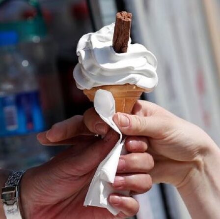 «Que diriez-vous d'un tourbillon? Les amateurs de crème glacée font face à une pénurie de 99 flocons de Cadbury face à une demande énorme