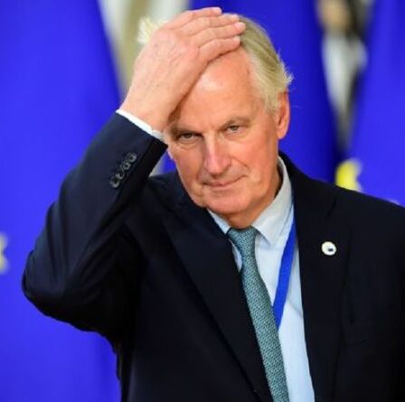 'Qui es-tu?'  Barnier fait face à une importante vérification de la réalité en course pour remplacer Macron à la présidence