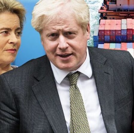 Réaction du Brexit: les importations mondiales montent en flèche alors que les Britanniques se tournent vers l'UE hostile `` Ça n'a pas l'air bien ''